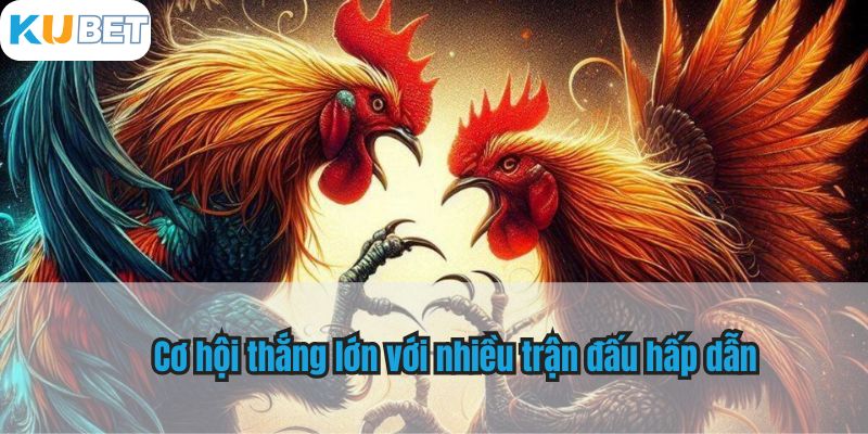 Cơ hội thắng lớn với nhiều trận đấu hấp dẫn